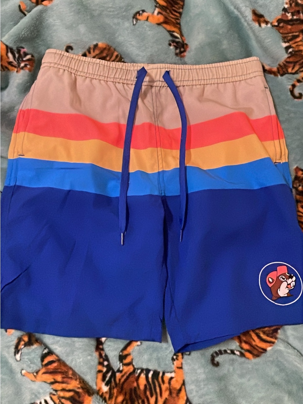 Boy’s Blue Multicolor Stripe Swim Shorts